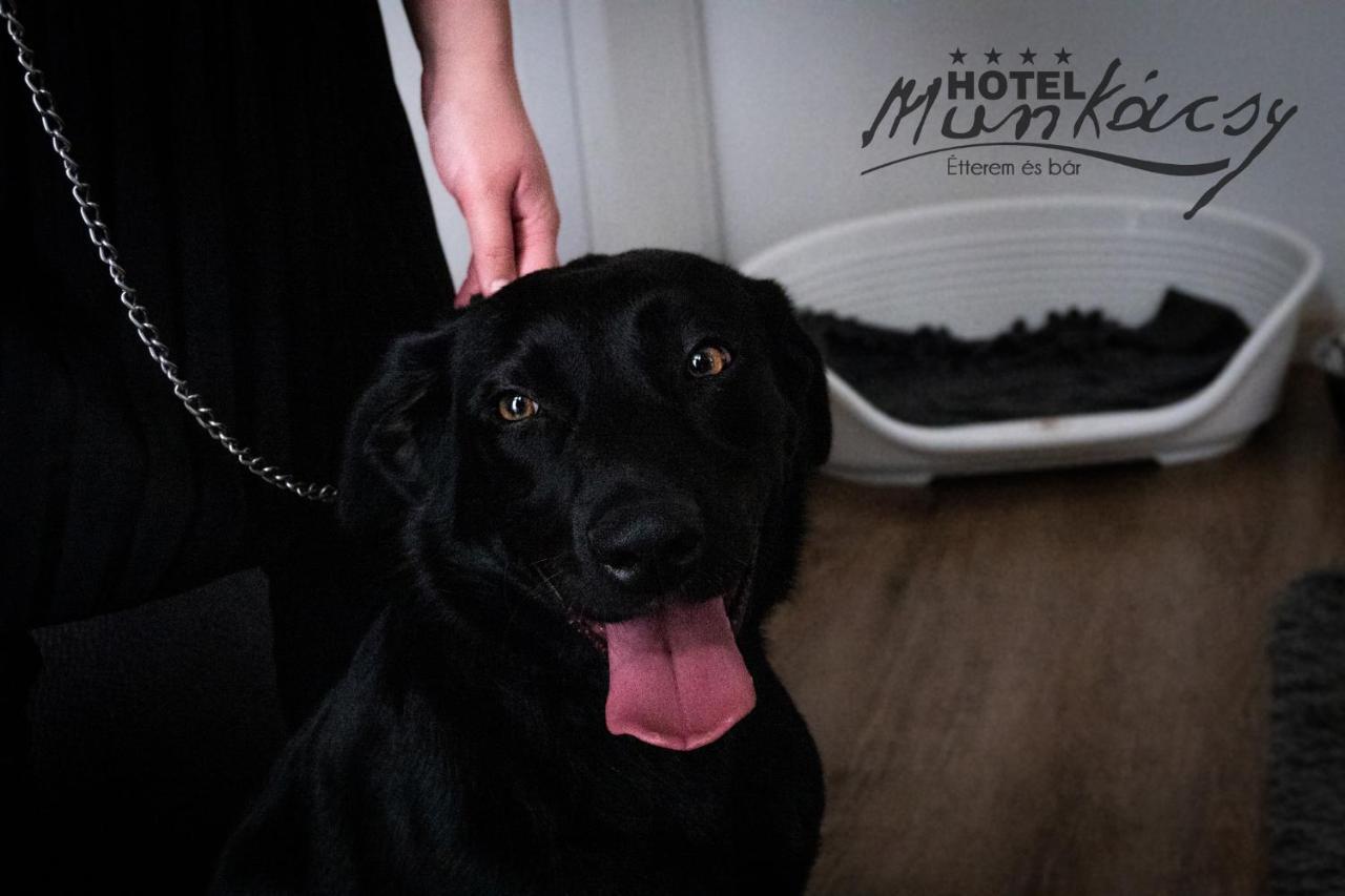 Munkacsy Hotel Bekescsaba Eksteriør billede